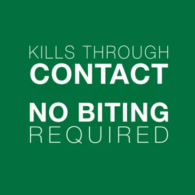 Product Advantage® II Over 9 lbs Cat Flea Prevention & Treatment