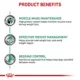 Product Royal Canin(R) Satiety Support Weight Management Adult Dog Loaf in Sauce Wet Food - 13.4 oz