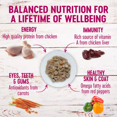 Product Wellness® Petite Entrees Small Breed All Life Stage Wet Dog Food - Natural, Grain Free, Mini-Filets