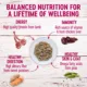 Product Wellness® Petite Entrees Small Breed Adult Dog Food - Natural, Grain Free, Casserole