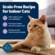Product Blue Buffalo Freedom All Life Stages Wet Cat Food - Natural, 5.5 Oz.