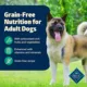Product Blue Buffalo® Freedom™ Adult Wet Dog Food - Grain Free, 12.5 oz