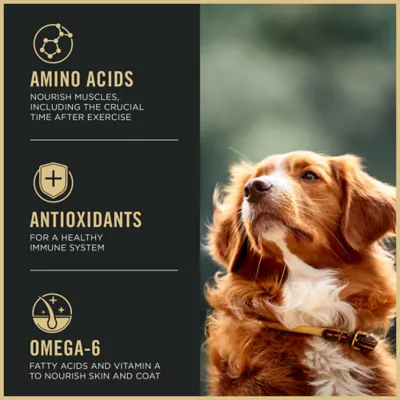 Product Purina Pro Plan Sport Active 27/17 All Life Stage Dry Dog Food - Chicken & Rice