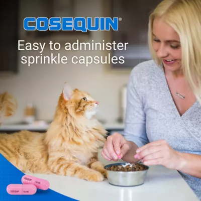 Product Cosequin® Joint Health Maximum Strength + Boswellia Cat Supplement