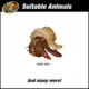 Product Zoo Med ReptiHabitat Hermit Crab Habitat Kit