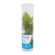 Product Top Fin® El Nino Fern Live Plant