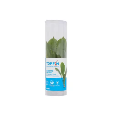 Product Top Fin® Rosette Sword Live Plant