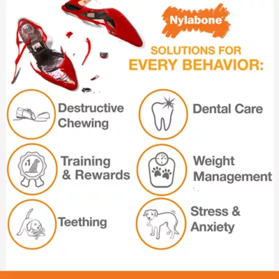 Product Nylabone® Flavor Frenzy Bacon Cheeseburger Chew Dog Toy