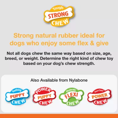 Product Nylabone® Flavor Frenzy Bacon Cheeseburger Chew Dog Toy
