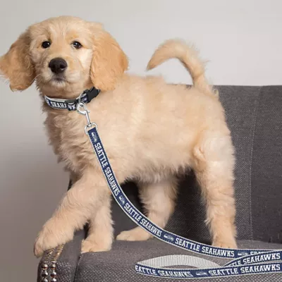 Product Seattle Seahawks NFL Dog Leash