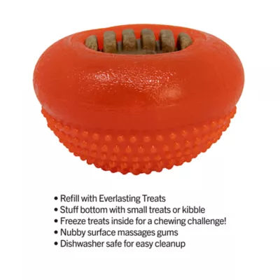 Product Starmark® Everlasting Treat Bento Ball Dog Toy - Chicken Flavor