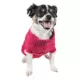 Product Pet Life Ribbed Sweater