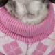 Product Pet Life Argyle Ribbed Sweater