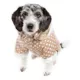 Product Pet Life Polka Dot Hooded Sweater