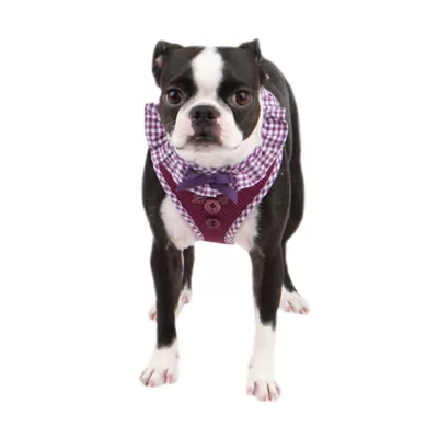 Product Puppia® Vivien Ruffle Vest Dog Harness