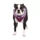 Product Puppia® Vivien Ruffle Vest Dog Harness