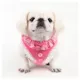 Product Puppia® Vivien Ruffle Dog Harness