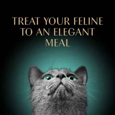 Product Sheba® Perfect Portions Adult Wet Cat Food - Pate, 2.65 Oz.