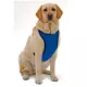 Product Kumfy Tailz™ Warming/Cooling Dog Harness