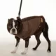 Product Kumfy Tailz™ Warming/Cooling Winter Vest Dog Harness
