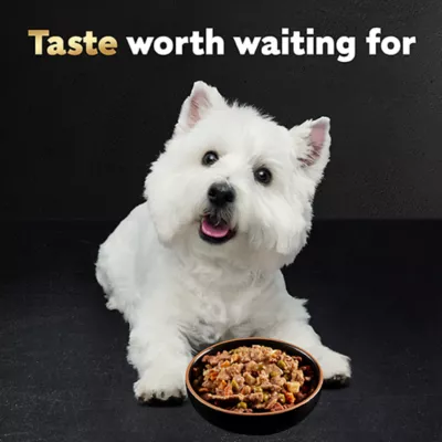 Product Cesar® Classics Home Delights Adult Wet Dog Food - Chunks in Gravy , 3.5 Oz.