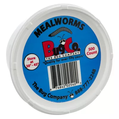 Product The Bug Company Mealworms