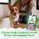 Product Greenies™ Adult Petite Dog Dental Treats - Natural, Oral Health, Blueberry