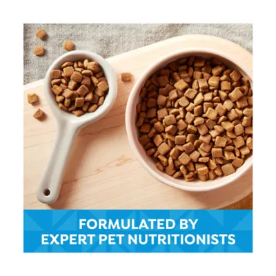 Product Nature's Recipe Dry Dog Food Puppy - Chicken, Sweet Potato, Pumpkin