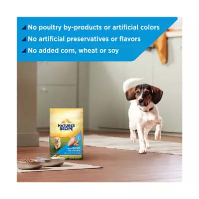 Product Nature's Recipe Dry Dog Food Puppy - Chicken, Sweet Potato, Pumpkin