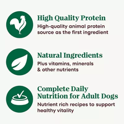 Product Nutro Natural Choice™ Heartly Stew Adult Wet Dog Food - Grain Free, 12.5oz