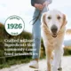 Product Nutro Limited Ingredient Diet Adult Wet Dog Food - Premium Loaf, 12.5oz