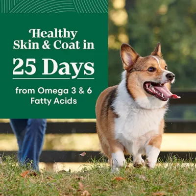 Product Nutro Natural Choice™ Small Bites Adult Dry Dog Food - Lamb & Brown Rice