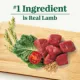 Product Nutro Natural Choice™ Small Bites Adult Dry Dog Food - Lamb & Brown Rice