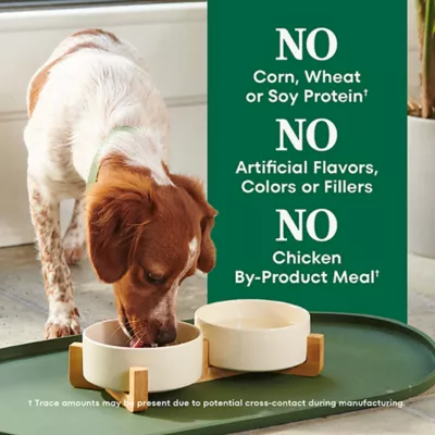 Product Nutro Natural Choice™ Small Bites Adult Dry Dog Food - Lamb & Brown Rice