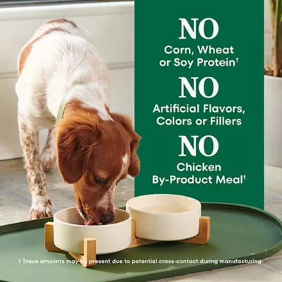 Product Nutro Natural Choice™ Small Bites Adult Dry Dog Food - Lamb & Brown Rice
