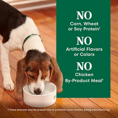 Product Nutro Natural Choice™ Large Breed Puppy Dry Dog Food - Chicken & Brown Rice