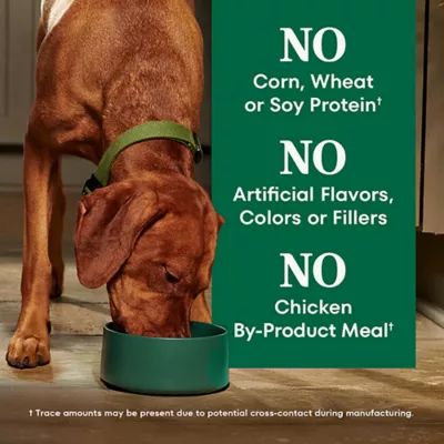Product Nutro Natural Choice™ Adult Dry Dog Food - Chicken & Brown Rice