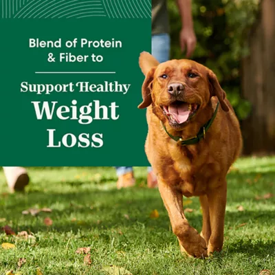 Product Nutro Natural Choice™ Healthy Weight Adult Dry Dog Food - Chicken & Brown Rice
