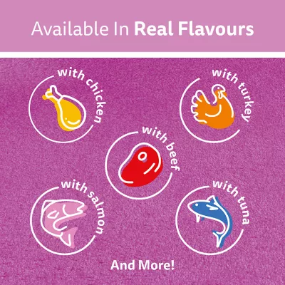 Product Whiskas Perfect Portions Adult Wet Cat Food Meaty Selections Variety Pack, 12ct