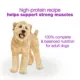 Product Beneful Chopped Blends Wet Dog Food, 283 g