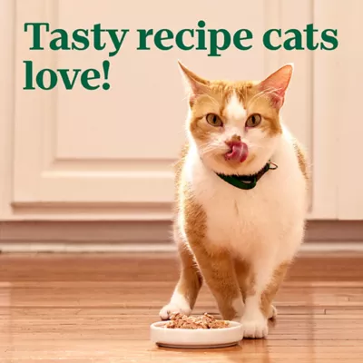 Product Nutro Perfect Portions Pate Adult Wet Cat Food - Non-GMO, Grain Free, 2.64 oz