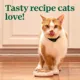 Product Nutro Perfect Portions Pate Adult Wet Cat Food - Non-GMO, Grain Free, 2.64 oz