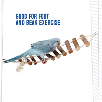 Product All Living Things® Natural Wood Ladder