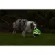 Product Chuckit!® Kick Fetch Ball Dog Toy - Glow in the Dark