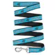 Product Carolina Panthers NFL Dog Leash