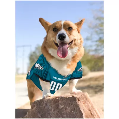 Product Philadelphia Eagles NFL Jersey