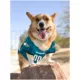 Product Philadelphia Eagles NFL Jersey