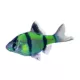 Product GloFish® Electric Green® Barb Fish