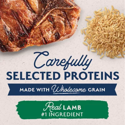 Product Natural Balance Limited Ingredient Diets Adult Wet Dog Food - Lamb & Brown Rice