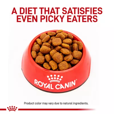 Product Royal Canin® Veterinary Diet Canine Dental Adult Small Dog Dry Food
